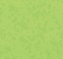 Линолеум Taralay Premium Compact Osmoz 4527 BAMBOO фото 1 | FLOORDEALER